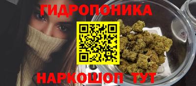 гашик Лесосибирск