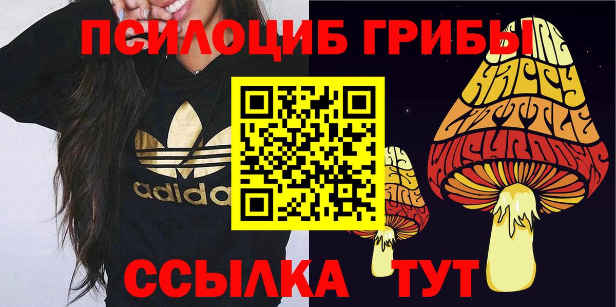 Псилоцибиновые грибы мицелий  Вход с VPN  Йошкар-Ола 