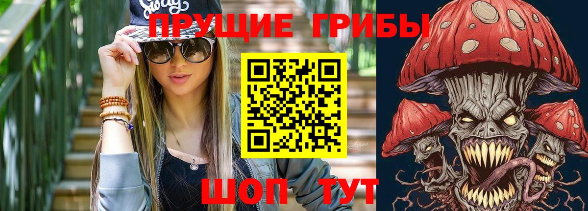 Галлюциногенные грибы Psilocybine cubensis Йошкар-Ола